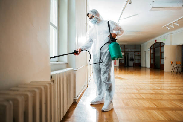 Best Rat Extermination Near Me  in New Carrollton, MD