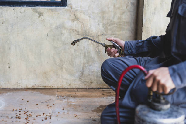 Best Affordable Pest Control Services  in New Carrollton, MD